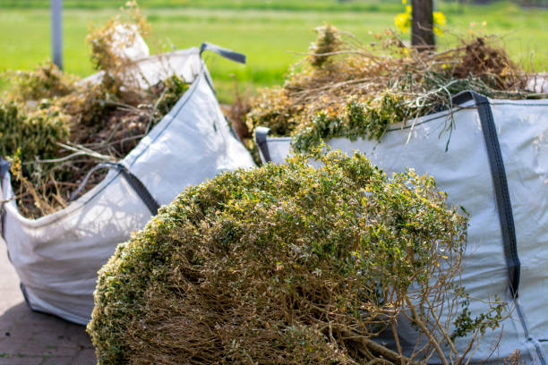 Best Commercial Junk Removal  in Princeton, MO