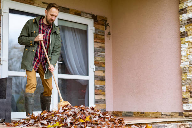 Best Junk Hauling Services  in Princeton, MO